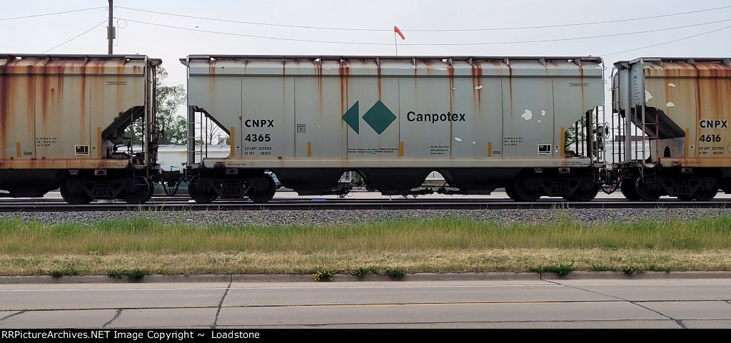 CNPX 4365